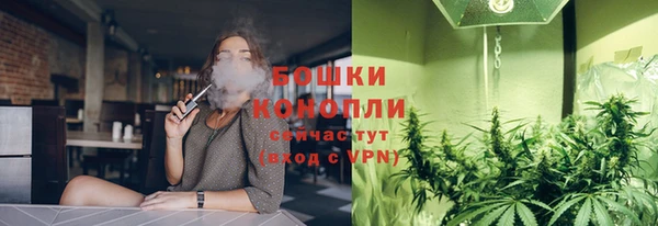 PSILOCYBIN Медвежьегорск