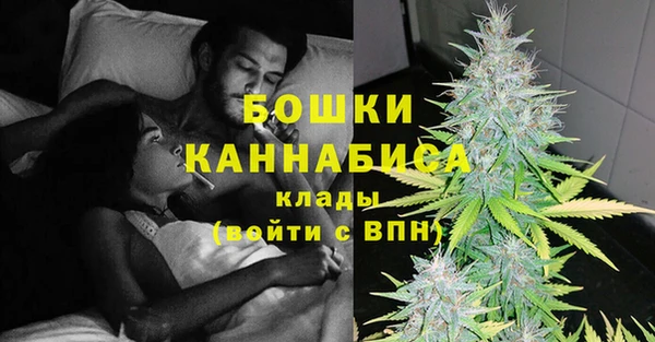 PSILOCYBIN Медвежьегорск