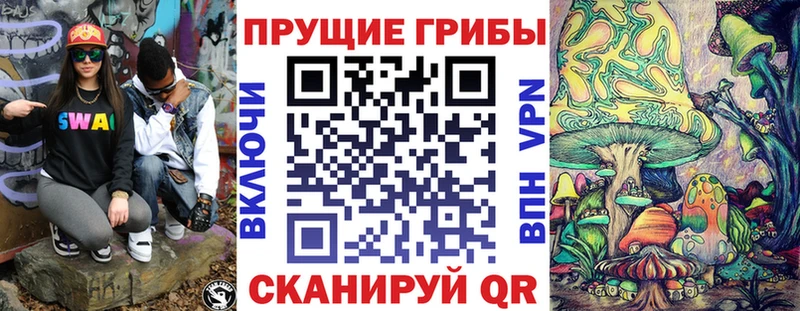 как найти   omg сайт  Галлюциногенные грибы мухоморы  Канаш 