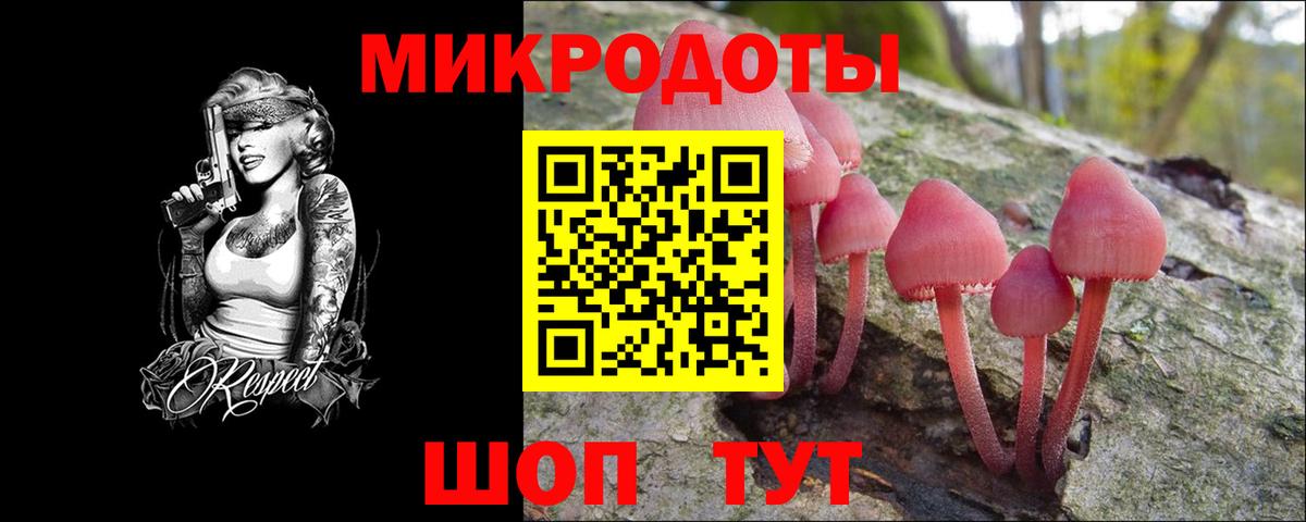 Канаш  Галлюциногенные грибы мицелий  что такое   Вход с VPN 