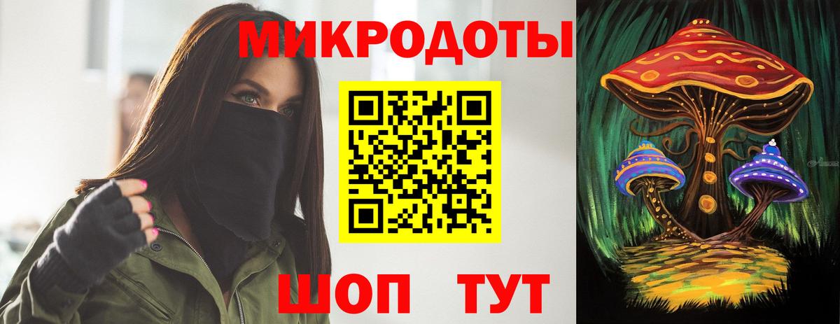 Псилоцибиновые грибы Psilocybe Канаш